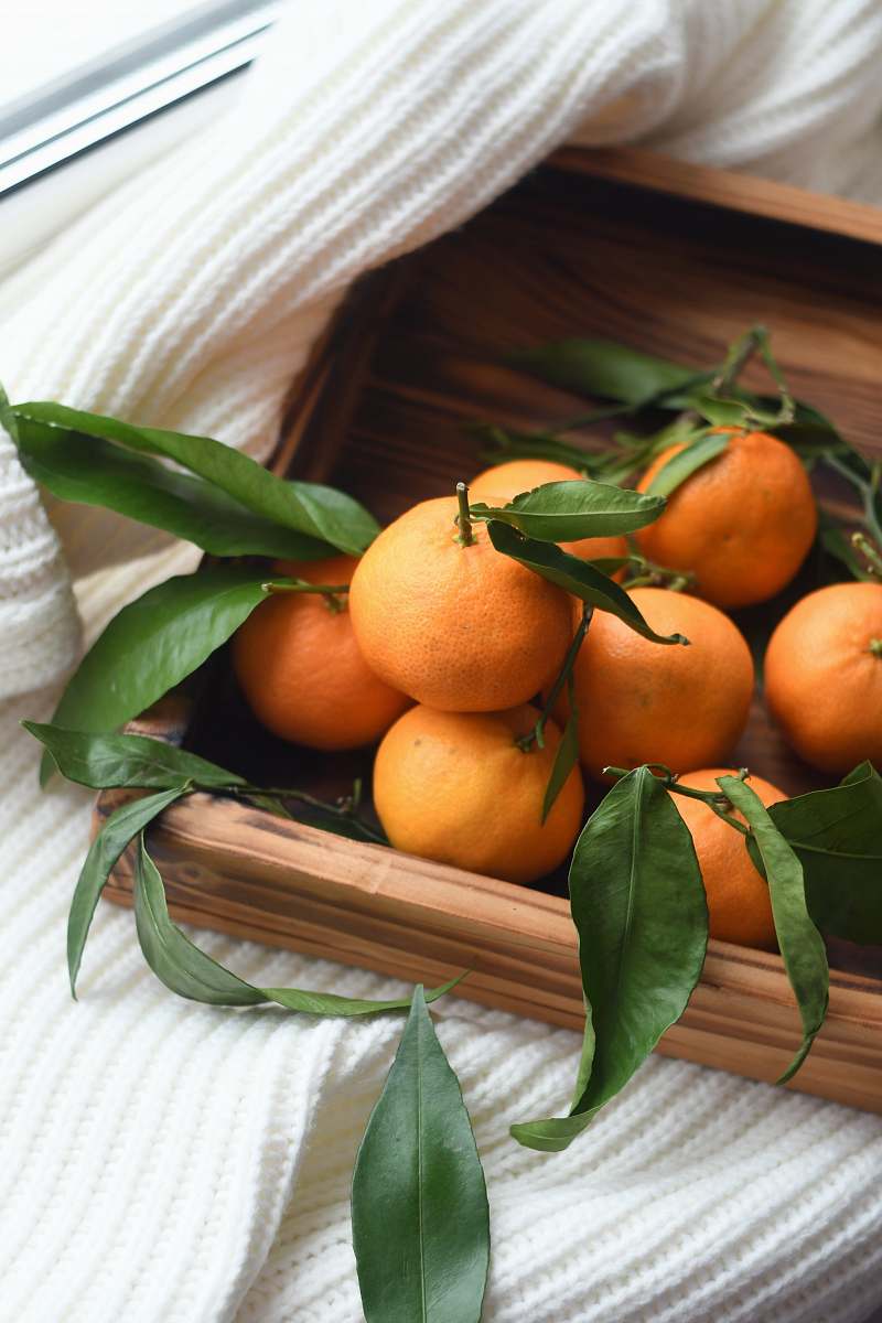 citrus fruit orange fruits on tray plant